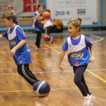 Božičnica KKBOR : Koši pod jelko