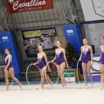 Božičnica gimnastike Bor