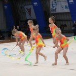 Božičnica gimnastike Bor
