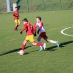 Nogomet U 15 : Primorje - Zarja Breg