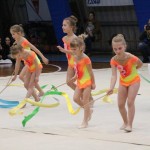 Božičnica gimnastike Bor
