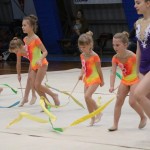Božičnica gimnastike Bor