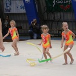 Božičnica gimnastike Bor