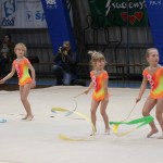 Božičnica gimnastike Bor