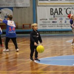 Božičnica KKBOR : Koši pod jelko