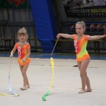 Božičnica gimnastike Bor