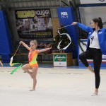 Božičnica gimnastike Bor