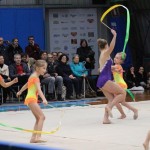 Božičnica gimnastike Bor