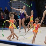 Božičnica gimnastike Bor