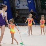 Božičnica gimnastike Bor