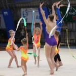 Božičnica gimnastike Bor