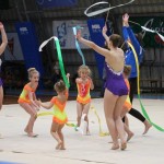 Božičnica gimnastike Bor