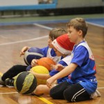 Božičnica KKBOR : Koši pod jelko