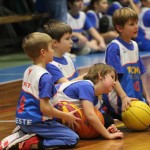 Božičnica KKBOR : Koši pod jelko