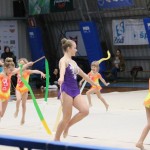 Božičnica gimnastike Bor