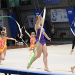 Božičnica gimnastike Bor