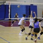 Odbojka 2.Ženska div. : Sokol Zalet - Le volpi