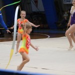 Božičnica gimnastike Bor