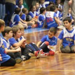 Božičnica KKBOR : Koši pod jelko