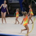 Božičnica gimnastike Bor
