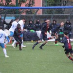 Nogomet A liga : Vesna - Audax