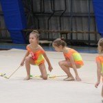 Božičnica gimnastike Bor