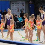Božičnica gimnastike Bor