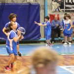 Božičnica KKBOR : Koši pod jelko