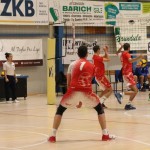 Odbojka C liga : Sloga Tabor - Triestina