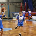 Božičnica KKBOR : Koši pod jelko