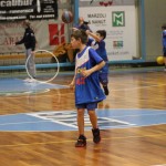 Božičnica KKBOR : Koši pod jelko