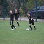 Nogomet A liga : Zarja - Costalunga