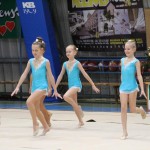Božičnica gimnastike Bor