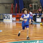 Božičnica KKBOR : Koši pod jelko