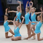Božičnica gimnastike Bor