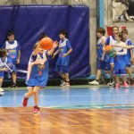 Božičnica KKBOR : Koši pod jelko