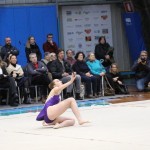 Božičnica gimnastike Bor