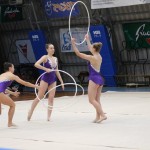 Božičnica gimnastike Bor