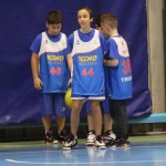 Božičnica KKBOR : Koši pod jelko