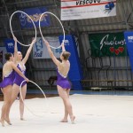 Božičnica gimnastike Bor