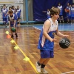 Božičnica KKBOR : Koši pod jelko