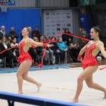 Božičnica gimnastike Bor