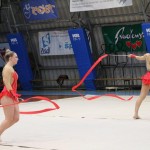 Božičnica gimnastike Bor