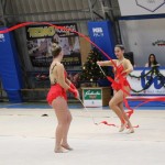 Božičnica gimnastike Bor