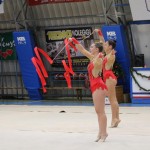 Božičnica gimnastike Bor