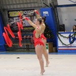 Božičnica gimnastike Bor