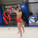 Božičnica gimnastike Bor