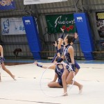Božičnica gimnastike Bor
