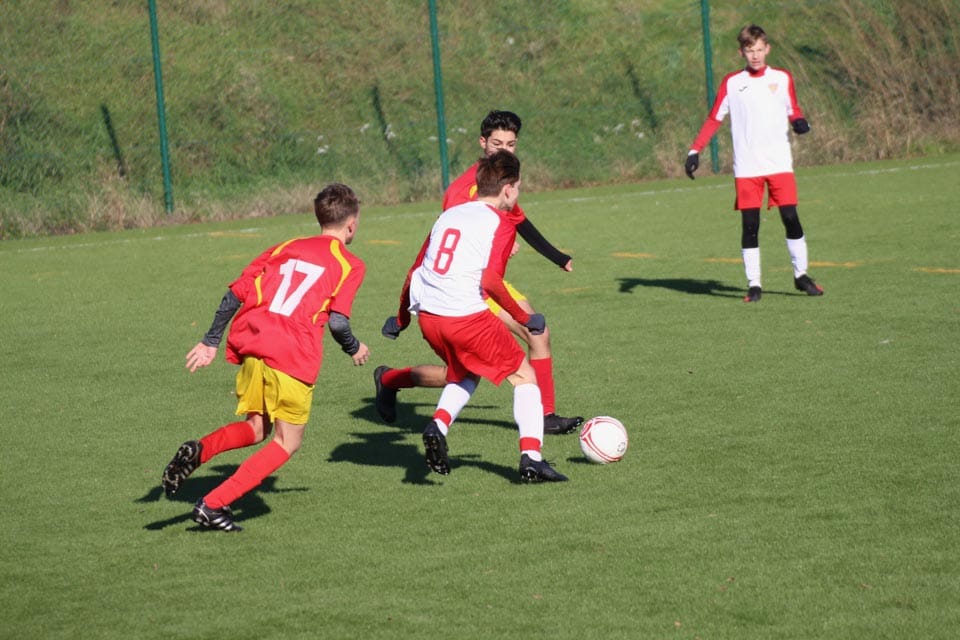 Prosek