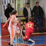 Košarka U12 : Polet Kontovel - Servolana